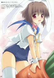 Rule 34 | 1girl, absurdres, animal ears, brown hair, cameltoe, carrot, highres, image sample, no pants, old school swimsuit, one-piece swimsuit, playboy bunny swimsuit, rabbit ears, rabbit girl, red eyes, sasahiro, school swimsuit, school uniform, serafuku, solo, swimsuit, swimsuit under clothes, thighhighs, torn clothes