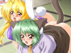 Rule 34 | 2girls, :o, ahoge, all fours, animal ears, ass, blonde hair, blush, breasts, cat ears, cat tail, clothes lift, covered erect nipples, dimples of venus, dog ears, dog tail, dress, dress lift, drill hair, floating hair, game cg, green hair, hair between eyes, hanabi, hanabi (let&#039;s meow meow), indoors, large breasts, lipstick, long hair, makeup, mature female, minna de nyan nyan, minna de nyan nyan!, multiple girls, necktie, no panties, on floor, open mouth, rabbit ears, rabbit tail, red eyes, shinju, shinju (let&#039;s meow meow), shirt, short hair, sidelocks, sirpent, skirt, skirt lift, studio sunadokei, sweat, tail, tatami