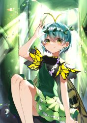 Rule 34 | 1girl, antennae, aqua hair, blush, budou zerii 98yen, butterfly wings, closed mouth, dew drop, dress, eternity larva, fairy, feet out of frame, green dress, green eyes, hair between eyes, highres, insect wings, leaf, leaf on head, multicolored clothes, multicolored dress, short hair, short sleeves, smile, solo, touhou, water drop, wings