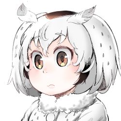 Rule 34 | 10s, 1girl, black hair, brown eyes, fur collar, hareyamaharezou, head wings, kemono friends, multicolored hair, northern white-faced owl (kemono friends), short hair, simple background, solo, white background, wings