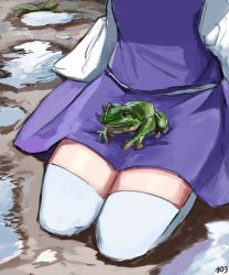 Rule 34 | 103anon, 1girl, absurdres, danlamdae, frog, head out of frame, highres, kneeling, long sleeves, lower body, moriya suwako, outdoors, puddle, purple skirt, purple vest, skirt, skirt set, sleeves past wrists, solo, thigh focus, thighhighs, touhou, vest, water, white thighhighs, wide sleeves, zettai ryouiki