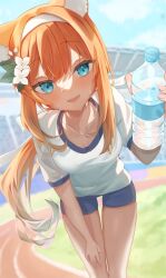 Rule 34 | 1girl, absurdres, animal ear fluff, animal ears, anko (ankoromoti grma), blue archive, blue eyes, blue shorts, bottle, breasts, collarbone, feet out of frame, flower, fox ears, fox girl, gym shirt, gym shorts, gym uniform, hair flower, hair ornament, hair ribbon, hairband, highres, leaning forward, long hair, looking at viewer, mari (blue archive), mari (track) (blue archive), medium breasts, orange hair, outdoors, parted lips, ponytail, ribbon, running track, shirt, short shorts, short sleeves, shorts, solo, standing, sweat, t-shirt, water bottle, white flower, white hairband, white ribbon, white shirt