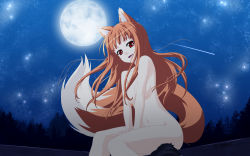 Rule 34 | 00s, highres, holo, okiyumi kase, spice and wolf, tagme