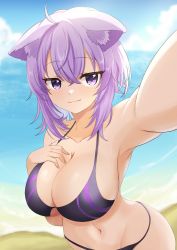 Rule 34 | 1girl, 9696k, absurdres, ahoge, alternate costume, animal ear fluff, animal ears, armpits, beach, bikini, black bikini, blue sky, blush, breasts, cat ears, cleavage, closed mouth, cloud, cloudy sky, collarbone, commentary, cowboy shot, crossed bangs, day, ears down, foreshortening, groin, hair between eyes, hand on own chest, highres, hololive, large breasts, light purple hair, looking at viewer, medium hair, navel, nekomata okayu, ocean, outdoors, outstretched arm, purple bikini, purple eyes, selfie, sky, smile, smirk, smug, solo, standing, stomach, string bikini, striped, swimsuit, two-tone bikini, vertical stripes, virtual youtuber