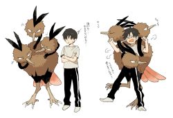 Rule 34 | &gt; &lt;, 1boy, black eyes, black pants, brown hair, closed eyes, commentary request, creatures (company), crossed arms, dodrio, game freak, gen 1 pokemon, hair between eyes, hands up, male focus, multiple views, newo (shinra-p), nintendo, open mouth, pants, pokemon, pokemon (creature), pout, shirt, short hair, short sleeves, simple background, socks, standing, standing on one leg, sweatdrop, t-shirt, translation request, white background
