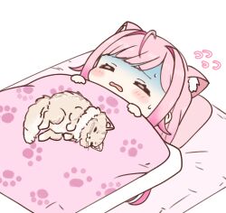 1girl ahoge animal_ears blush cat cat_ears cat_girl choro_star closed_eyes extra_ears flying_sweatdrops futon highres indie_virtual_youtuber long_hair lying on_back open_mouth paw_print pink_hair shaded_face simple_background sleeping sweat virtual_youtuber white_background yuuki_sakuna