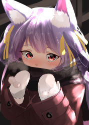 Rule 34 | .live, 1girl, absurdres, alternate costume, animal ears, blush, commentary request, fence, heavy breathing, highres, long hair, looking at viewer, mittens, purple hair, red eyes, rurun rururica, simple background, solo, tama (tamago), virtual youtuber, winter clothes, wolf ears