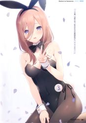 Rule 34 | 1girl, 6u (eternal land), absurdres, animal ears, bare shoulders, black leotard, blue eyes, bow, bowtie, breasts, brown hair, brown pantyhose, cleavage, covered erect nipples, detached collar, fake animal ears, fake tail, go-toubun no hanayome, groin, hair between eyes, hairband, highres, large breasts, leotard, long hair, looking at viewer, nakano miku, open mouth, pantyhose, petals, playboy bunny, rabbit ears, rabbit tail, scan, sitting, solo, strapless, strapless leotard, tail, translation request, v, white background, wrist cuffs