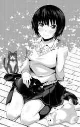 Rule 34 | 1girl, amagami, animal, arm support, black hair, blush, breasts, cat, closed mouth, collared shirt, commentary request, greyscale, highres, holding, jishaku (user rcuz2843), kibito high school uniform, kneehighs, loafers, long sleeves, looking at viewer, medium breasts, monochrome, nanasaki ai, pleated skirt, school uniform, shirt, shoes, short hair, sitting, skirt, smile, socks, solo, sweater, wariza