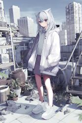 Rule 34 | 1girl, air conditioner, animal ears, blush, building, can, cat ears, city, closed mouth, cloud, collared shirt, day, glasses, grass, grey eyes, grey hair, grey shorts, hands in pockets, highres, hood, hood down, hooded jacket, jacket, lantern, long hair, long sleeves, m. (emudotto), open clothes, open jacket, original, outdoors, plant, potted plant, rock, round eyewear, shadow, shirt, shoes, shorts, sky, sneakers, solo, stairs, standing, white-framed eyewear, white footwear, white jacket