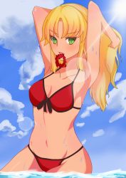 Rule 34 | 1girl, absurdres, bad id, bad pixiv id, bikini, blonde hair, blue sky, blush, breasts, cleavage, cloud, day, fang, fate/apocrypha, fate/grand order, fate (series), front-tie top, groin, halterneck, highres, kairi (miry666), lens flare, long hair, mordred (fate), mordred (fate) (all), mordred (fate/apocrypha), mordred (swimsuit rider) (fate), mordred (swimsuit rider) (first ascension) (fate), mouth hold, navel, red bikini, side-tie bottom, sky, solo, swimsuit, wading, water