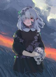 Rule 34 | 1girl, absurdres, aster drawing, black dress, blush, breasts, cloud, cloudy sky, commentary request, dress, eyebrows hidden by hair, grass, hair ornament, hair over one eye, highres, holding, holding skull, leaf hair ornament, long hair, long sleeves, looking at viewer, original, outdoors, parted lips, pointy ears, puffy sleeves, red eyes, silver hair, skull, sky, small breasts, smile, solo, tall grass, twilight, wind