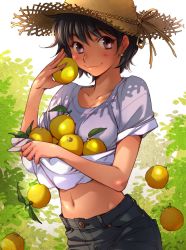 Rule 34 | 1girl, black hair, blush, carrying, closed mouth, collarbone, commentary request, day, denim, earrings, food, fruit, hat, highres, holding, holding food, holding fruit, jeans, jewelry, kerorin, looking at viewer, midriff, navel, orange (fruit), pants, purple eyes, shirt, shirt basket, short hair, short sleeves, sleeves rolled up, smile, solo, standing, star (symbol), star earrings, straw hat, sun hat, t-shirt, tree