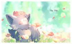 Rule 34 | bad id, bad pixiv id, border, closed eyes, commentary request, creatures (company), day, flower, game freak, gen 5 pokemon, grass, nao (naaa 195), nintendo, no humans, orange flower, outdoors, parted lips, petals, pokemon, pokemon (creature), smile, white border, zorua