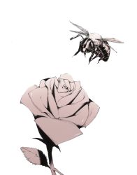 Rule 34 | bee, bug, flower, insect, monochrome, no humans, rose, simple background, sousou (sousouworks), white background