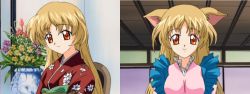 Rule 34 | aiko (ufo princess valkyrie), animal ears, apron, before and after, blonde hair, cat ears, dress, flower, japanese clothes, kimono, orange eyes, pink dress, portrait, red kimono, sash, ufo princess valkyrie, vase