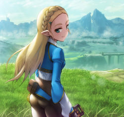 Rule 34 | ass, blonde hair, braid, day, eyebrows, grass, green eyes, hair ornament, hairclip, hashi, landscape, light smile, long hair, looking at viewer, looking back, nintendo, pants, pointy ears, princess zelda, ravine, scenery, solo, the legend of zelda, the legend of zelda: breath of the wild