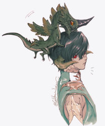 Rule 34 | 1boy, au ra, caloserrr, colored sclera, cropped torso, dragon, dragon horns, dragon on head, dual persona, expressionless, feathered wings, final fantasy, final fantasy xiv, from side, green hair, hair between eyes, high collar, highres, horns, looking back, male focus, minimized, motion lines, orange eyes, red eyes, red sclera, scales, short hair, signature, simple background, single horn, square enix, tail, tusks, twitter username, upper body, varshahn, vrtra, white background, wings