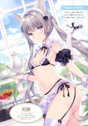 Rule 34 | 1girl, absurdres, animal ears, apron, bare shoulders, bikini, black bikini, blue sky, blush, bow, bowtie, breasts, cat ears, cat girl, cat tail, closed mouth, cloud, cloudy sky, cowboy shot, cup, day, detached collar, food, frilled bikini, frills, fruit, garter belt, garter straps, highres, holding, holding tray, indoors, maid, maid bikini, maid headdress, navel, original, puffy short sleeves, puffy sleeves, purple eyes, scan, short sleeves, side-tie bikini bottom, silver hair, simple background, sky, small breasts, solo, stomach, sunlight, swimsuit, tail, teacup, teapot, thighhighs, thighs, tray, twintails, unconventional maid, waist apron, wasabi (sekai), white thighhighs, window