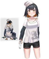 Rule 34 | arknights, banknote, black hair, black shorts, briefcase, brown eyes, brown hair, chewycandy, commentary, currency strap, english commentary, grey background, gun, handgun, highres, holding, holding gun, holding weapon, jewelry, layered sleeves, long sleeves, looking at viewer, money, multicolored hair, necklace, personification, pistol, shirt, short over long sleeves, short shorts, short sleeves, shorts, standing, sunglasses, the emperor (arknights), two-tone background, two-tone hair, weapon, white background, white headwear, white shirt