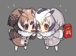 Rule 34 | 10s, 2girls, animal ears, bird tail, brown eyes, brown hair, chibi, coat, commentary, commentary request, eurasian eagle owl (kemono friends), food, fur collar, head wings, kemono friends, multicolored hair, multiple girls, northern white-faced owl (kemono friends), owl ears, pocky, pocky kiss, ran system, shared food, tail, white hair, wings, yellow eyes