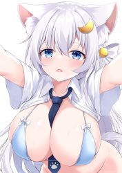 Rule 34 | 1girl, absurdres, animal ear fluff, animal ears, arms up, between breasts, blue eyes, bow, breasts, cat ears, cat tail, collarbone, collared shirt, commentary, cowboy shot, crescent, crescent hair ornament, eyelashes, fang, hair between eyes, hair ornament, hair ribbon, highres, kurashina yuzuki, large breasts, long hair, looking at viewer, loose necktie, necktie, necktie between breasts, no panties, open clothes, open mouth, open shirt, original, paw print, ribbon, shirt, short sleeves, sidelocks, skin fang, slit pupils, solo, string bra, sweat, tail, white bow, white hair, white shirt, white sleeves, wide sleeves