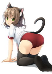 Rule 34 | 1girl, all fours, animal ear fluff, animal ears, ass, black thighhighs, brown hair, buruma, cat ears, cat tail, commentary request, from behind, green eyes, gym uniform, highres, looking at viewer, looking back, medium hair, no shoes, open mouth, original, panties, panties under buruma, panty peek, red buruma, shibacha, shirt, solo, tail, thighhighs, underwear, white panties, white shirt