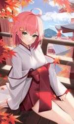 Rule 34 | 1girl, ahoge, alternate costume, architecture, autumn, blush, cat hair ornament, commentary request, east asian architecture, green eyes, hair flaps, hair ornament, hairclip, hakama, hakama short skirt, hakama skirt, highres, hololive, japanese clothes, kosode, looking at viewer, miko, outdoors, pink hair, red skirt, sakura miko, skirt, solo, thomas 8000, virtual youtuber