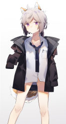 Rule 34 | 1girl, animal ears, bare legs, black jacket, black necktie, bottomless, breast pocket, closed mouth, collarbone, commentary, cuicuijiao, dog ears, dog girl, dog tail, feet out of frame, girls&#039; frontline, gluteal fold, gradient background, grey background, grey hair, highres, jacket, long hair, long sleeves, looking at viewer, m200 (girls&#039; frontline), necktie, nervous, open collar, pen in pocket, pocket, ponytail, purple eyes, shirt, sleeves past fingers, sleeves past wrists, solo, tail, white background, white shirt