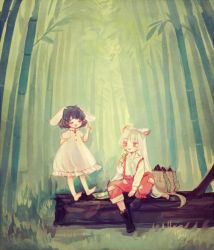 Rule 34 | 2girls, animal ears, bag, bamboo, bamboo forest, bamboo shoot, barefoot, black footwear, black hair, boots, bow, rabbit ears, dango, dress, closed eyes, food, forest, fujiwara no mokou, grass, hair bow, hand up, holding, holding food, inaba tewi, log, long hair, long sleeves, looking at another, multiple girls, nature, outdoors, pants, pointing, pointing up, puffy short sleeves, puffy sleeves, red eyes, red pants, sanshoku dango, shirt, short hair, short sleeves, sitting, smile, suspenders, touhou, very long hair, wagashi, white bow, white dress, white hair, white shirt, yujup