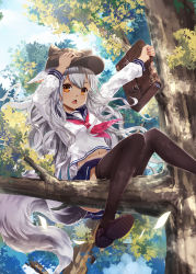 Rule 34 | 1girl, animal ears, animal hat, bisclavret, black thighhighs, boots, briefcase, commentary request, day, falling, fox ears, fox tail, hand on own head, hat, highres, holding, holding briefcase, in tree, kaku-san-sei million arthur, long hair, million arthur (series), navel, open mouth, school uniform, serafuku, silver hair, sitting, sitting in tree, sky, solo, tail, thighhighs, tree, wait, yellow eyes