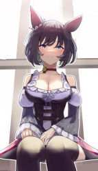 Rule 34 | 1girl, animal ears, bare shoulders, black hair, black thighhighs, breasts, cleavage, closed mouth, clothing cutout, eishin flash (umamusume), grey eyes, highres, horse ears, horse girl, horse tail, large breasts, long hair, looking at viewer, shoulder cutout, simple background, sitting, smile, solo, solokitsune, tail, thighhighs, umamusume