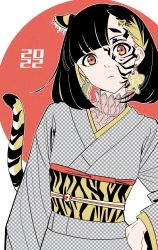 Rule 34 | 1girl, 2022, acubi tomaranai, animal ears, animal print, asymmetrical bangs, black hair, chinese zodiac, earrings, facial mark, hand on own hip, highres, japanese clothes, jewelry, kimono, lips, looking at viewer, medium hair, new year, obi, orange hair, original, parted lips, pink shirt, sash, shirt, solo, tail, tiger ears, tiger print, tiger tail, turtleneck, unmoving pattern, upper body, year of the tiger
