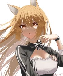 Rule 34 | 1girl, animal ears, arknights, artist name, black bow, black bowtie, black wristband, bow, bowtie, breasts, breeze (arknights), brown hair, cleavage, dress, female focus, fox ears, hand up, highres, large breasts, long hair, mihata atelier, shrug (clothing), simple background, solo, striped bow, striped bowtie, striped clothes, two-tone bowtie, upper body, white background, white bow, white bowtie, white dress
