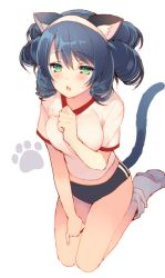 Rule 34 | 10s, 1girl, animal ears, black hair, blush, breasts, buruma, cat ears, colored eyelashes, curly hair, cyan (show by rock!!), green eyes, gym uniform, hairband, mayachi (amuriya), midriff, open mouth, shirt, shoes, short hair, show by rock!!, simple background, sitting, solo, tail, white background