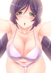 Rule 34 | 10s, 1girl, armpits, bare shoulders, belly, bikini, breasts, cleavage, green eyes, highres, incoming kiss, large breasts, leaning forward, long hair, looking at viewer, love live!, love live! school idol project, navel, parted lips, pov, purple bikini, purple hair, rokko, solo, swimsuit, thigh gap, tojo nozomi