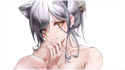 Rule 34 | 1girl, animal ears, arknights, cat ears, collarbone, commentary request, grey hair, highres, looking at viewer, nude, parted lips, partial commentary, schwarz (arknights), simple background, solo, upper body, white background, yellow eyes, yunlingluo