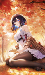 Rule 34 | 1girl, autumn, autumn leaves, bare shoulders, belt, black belt, black hair, black pantyhose, blue eyes, blue hair, book, breasts, brown shawl, buckle, bug, butterfly, closed mouth, colored inner hair, dress, dutch angle, falling leaves, feet, frilled dress, frills, highres, holding, holding book, honkai (series), honkai impact 3rd, insect, lace trim, leaf, legs, looking at viewer, maoh yueer, medium breasts, multicolored hair, no shoes, off-shoulder dress, off shoulder, outdoors, pantyhose, plaid shawl, seele vollerei, shawl, short hair, sitting, solo, thighband pantyhose, thighs, toes, tree, two-tone hair, white dress, yokozuwari