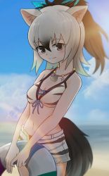 Rule 34 | 10s, 1girl, aardwolf (kemono friends), absurdres, animal ears, bad id, bad nicoseiga id, bare arms, bare shoulders, beach, bead necklace, beads, bikini, bikini shorts, black hair, blue sky, bow, closed mouth, cowboy shot, day, front-tie bikini top, front-tie top, grey hair, grey legwear, hair between eyes, hair bow, high ponytail, highres, holding, innertube, jewelry, kemono friends, kemono friends festival, long hair, looking at viewer, multicolored hair, navel, necklace, ocean, outdoors, ponytail, print bikini, print shorts, sand, sasahara (nicoseiga), shell, shell necklace, shorts, sky, smile, solo, standing, stomach, swim ring, swimsuit, tail, two-tone hair, upper body, water