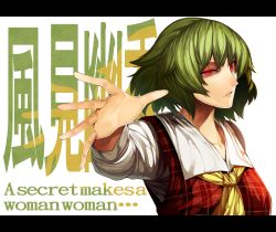 Rule 34 | 1girl, ascot, character name, english text, foreshortening, green hair, irohara mitabi, kazami yuuka, letterboxed, long sleeves, looking at viewer, meitantei conan, plaid, plaid skirt, plaid vest, reaching, reaching towards viewer, red eyes, short hair, skirt, solo, touhou, translation request, upper body, vest