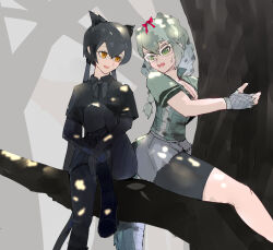 Rule 34 | 2girls, animal ears, bare arms, bike shorts, bike shorts under shorts, black bow, black bowtie, black hair, black leopard (kemono friends), black shirt, black shorts, black skirt, bodystocking, bow, bowtie, braid, branch, breasts, cleavage, collared shirt, crocodilian tail, dappled sunlight, day, fingerless gloves, fog, glasses, gloves, green eyes, green hair, grey gloves, grey shorts, hair between eyes, hair bow, in tree, kemono friends, kemono friends 2, knee up, large breasts, leopard ears, leopard girl, leopard tail, long hair, looking at another, microskirt, multicolored hair, multiple girls, nervous, orange eyes, outdoors, parted lips, red bow, shirt, short shorts, short sleeves, shorts, shorts under shorts, sitting, sitting in tree, skirt, smile, spectacled caiman (kemono friends), sunlight, tail, tree, twin braids, twintails, very long hair, vest, wing collar, yappa muri