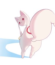 Rule 34 | 10s, :3, animal ears, bent over, blush, cat ears, creature, from behind, full body, highres, kyubey, looking at viewer, looking back, mahou shoujo madoka magica, mahou shoujo madoka magica (anime), no humans, red eyes, samidare (hoshi), simple background, solo, standing, tail, white background, wide hips