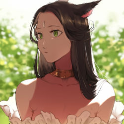 Rule 34 | 1girl, animal ears, warrior of light (ff14), backlighting, bare shoulders, black hair, blurry, blurry background, breasts, cat ears, closed mouth, collarbone, dark-skinned female, dark skin, day, depth of field, dmuyaa, eyelashes, final fantasy, final fantasy xiv, forehead, forehead jewel, frills, green eyes, hair flaps, hair flowing over, jewelry, long hair, looking at viewer, looking away, looking to the side, miqo&#039;te, necklace, solo, strapless, upper body