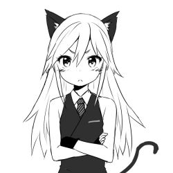 Rule 34 | 1girl, animal ears, blush, cat ears, cat tail, crossed arms, flat chest, greyscale, long hair, looking at viewer, monochrome, necktie, simple background, solo, tail, white background, zaxwu