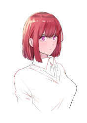 Rule 34 | 1girl, absurdres, bob cut, closed mouth, collared shirt, highres, looking at viewer, medium hair, murata yuusuke, original, purple eyes, red hair, shirt, simple background, solo, sweater, white background, wing collar