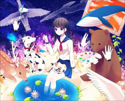 Rule 34 | 1girl, achiki, bad id, bad pixiv id, bear, bird, black hair, blue eyes, bug, butterfly, calico, cat, deer, dog, flying whale, insect, lily pad, long hair, night, original, paint, pencil, plant, puddle, ruler, sailor, sky, smile, solo, star (sky), star (symbol), starry sky, swan, through medium, through painting, vines, whale