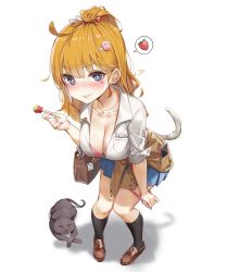 Rule 34 | 1girl, absurdres, ahoge, animal, bad id, bad twitter id, bag, black socks, blue eyes, blue skirt, blush, bra, bra peek, breast pocket, breasts, brown footwear, brown jacket, candy, cat, cat tail, cleavage, clothes around waist, collarbone, collared shirt, copyright request, dress shirt, food, foreshortening, hair ornament, hairclip, highres, holding, jacket, jacket around waist, jewelry, kneehighs, knees together feet apart, large breasts, leaning forward, loafers, lollipop, long hair, looking at viewer, miniskirt, necklace, nose blush, orange hair, panties, panty pull, parted lips, pink bra, pink panties, pleated skirt, pocket, ponytail, shadow, shirt, shoes, shoulder bag, simple background, skirt, socks, solo, spoken object, standing, symbol-shaped pupils, tail, thighs, underwear, v-shaped eyebrows, wet.elephant, white background, white shirt