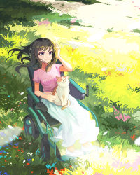 Rule 34 | 1girl, absurdres, black eyes, black hair, blush, cat, closed mouth, day, grass, highres, long hair, looking at viewer, original, outdoors, pink shirt, shirt, short sleeves, sitting, skirt, smile, soar, solo, wheelchair, white skirt