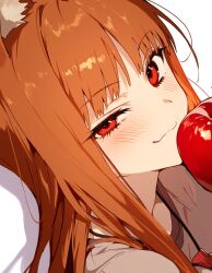 Rule 34 | 1girl, :3, ai-assisted, animal ear fluff, animal ears, apple, blush, brown hair, brown shirt, close-up, closed mouth, commentary, drop shadow, eatsleep1111, food, from side, fruit, highres, holding, holding food, holding fruit, holo, jewelry, long hair, looking at viewer, loose hair strand, necklace, pouch, red eyes, shirt, simple background, smile, solo, spice and wolf, white background, wolf ears, wolf girl