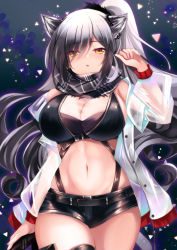 Rule 34 | 1girl, animal ears, arknights, bare shoulders, black shirt, black shorts, breasts, cat ears, cat girl, cleavage, cowboy shot, crop top, grey hair, hand up, highres, ichiyou moka, jacket, large breasts, long hair, long sleeves, looking at viewer, micro shorts, midriff, navel, off shoulder, open clothes, open jacket, parted lips, ponytail, scarf, schwarz (arknights), see-through, shirt, short shorts, shorts, sleeveless, sleeveless shirt, solo, stomach, thighhighs, thighs, white jacket, yellow eyes